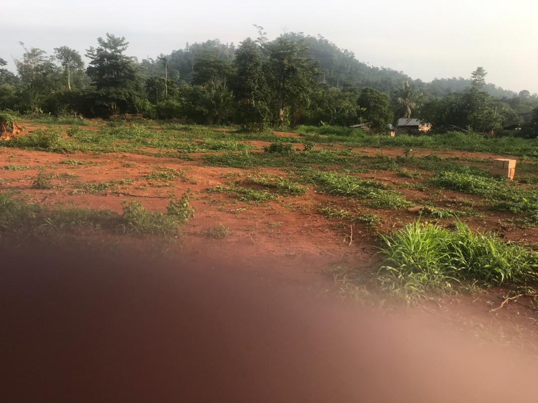 Site for new durbar grounds.