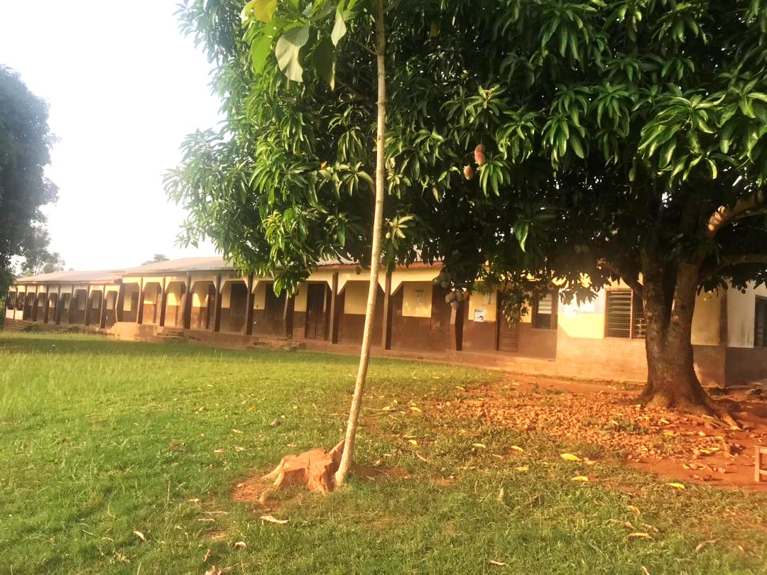 Primary School